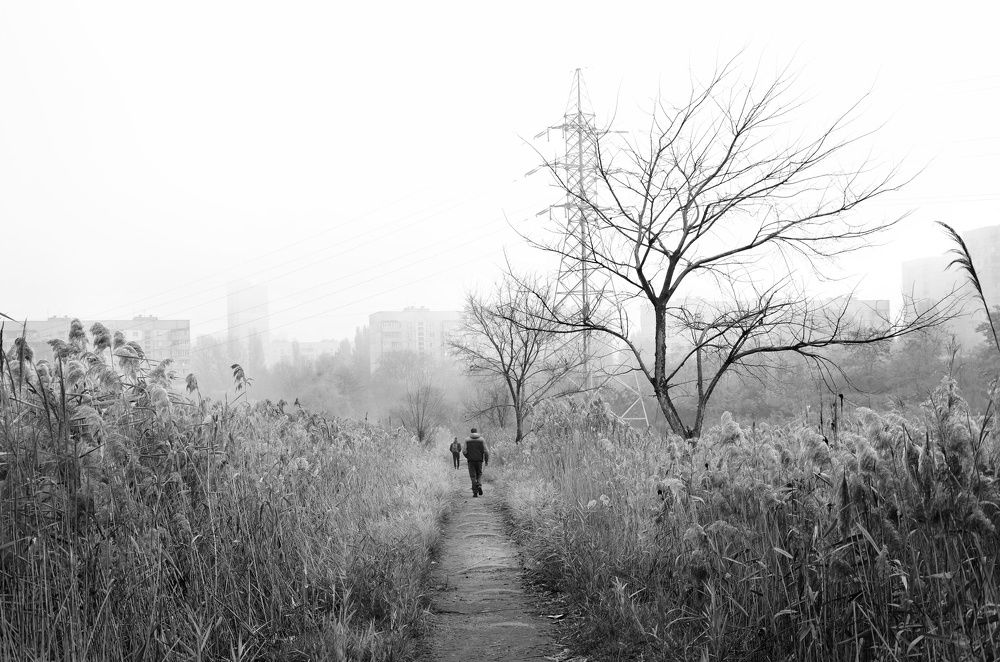 Photograph by Ирина Никитина