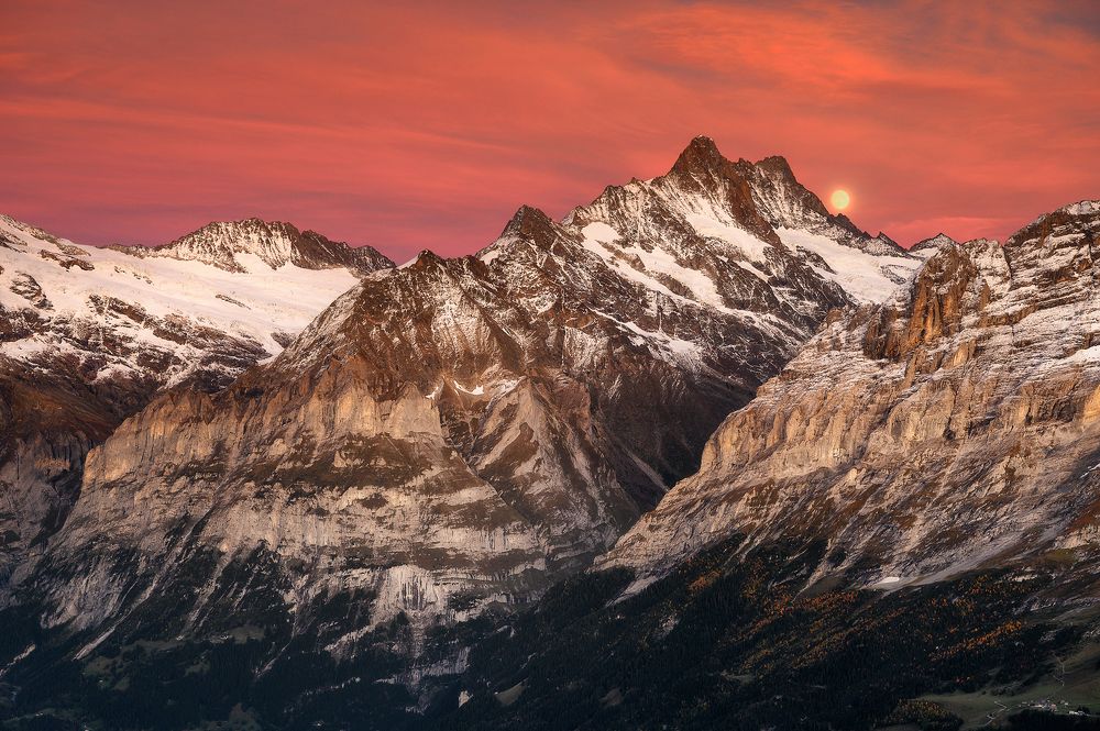 Photograph by Jakub Perlikowski