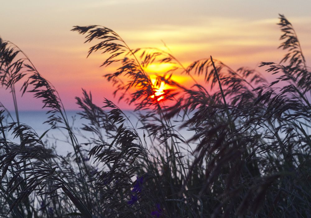 Photograph by Ольга Дорошенко