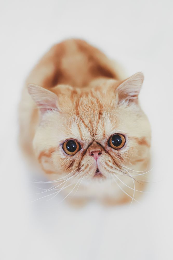 Photograph by Людмила Казак