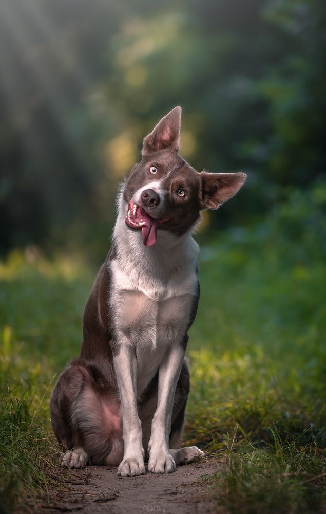 Photograph by Vladimir Smaženka