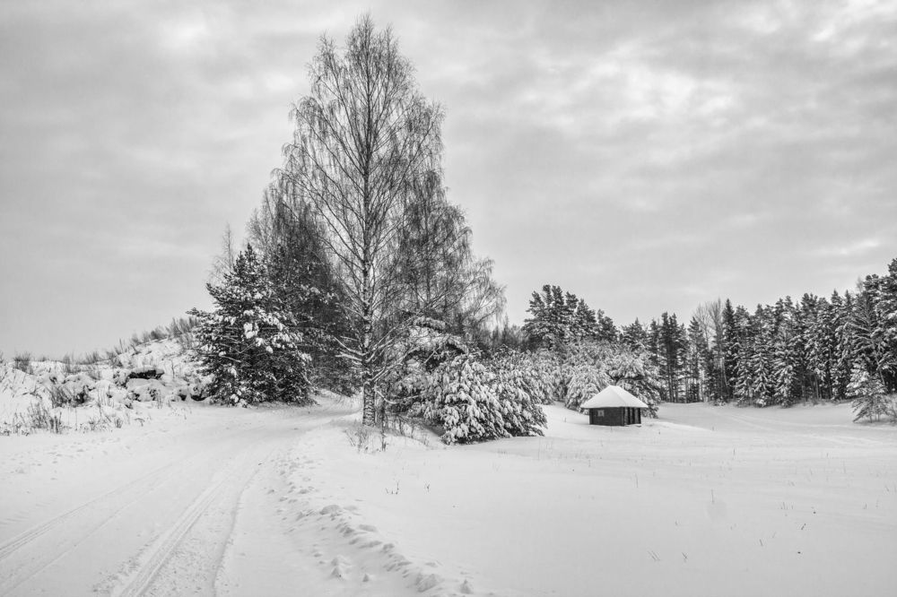 Photograph by Aare Treiel