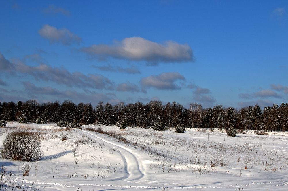 Photograph by Алексей Федулов