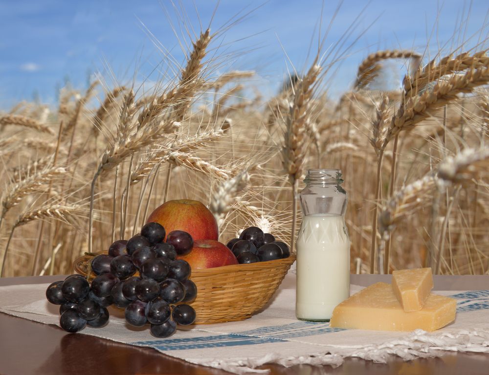 Photograph by Éva Toldi