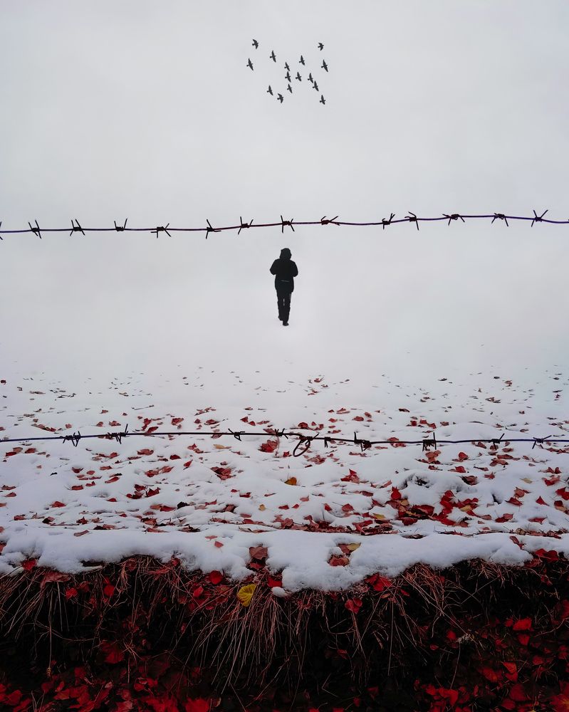 Фотография автора Alipour mohammad