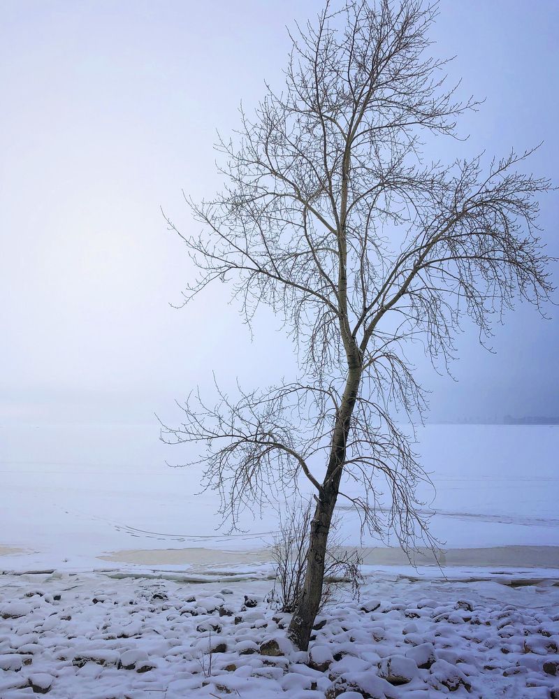 Loneliness