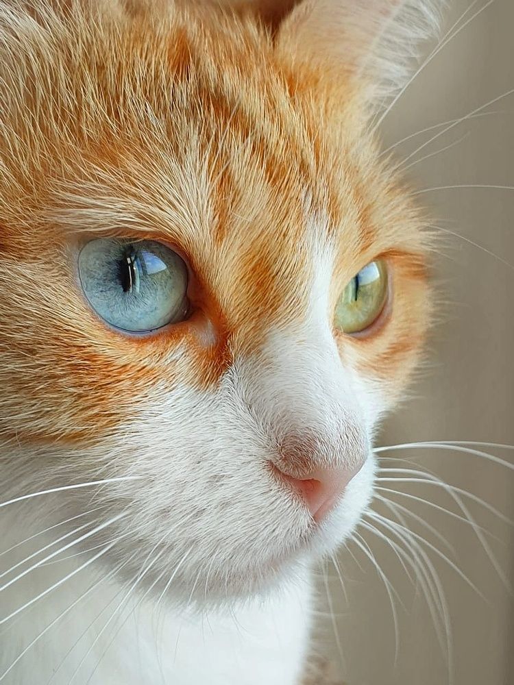 Photograph by Алексей Фомичев