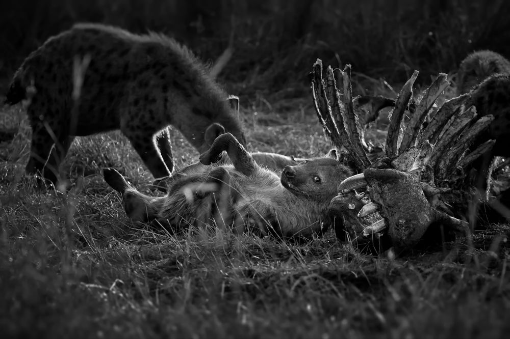 Грустно и смешно...