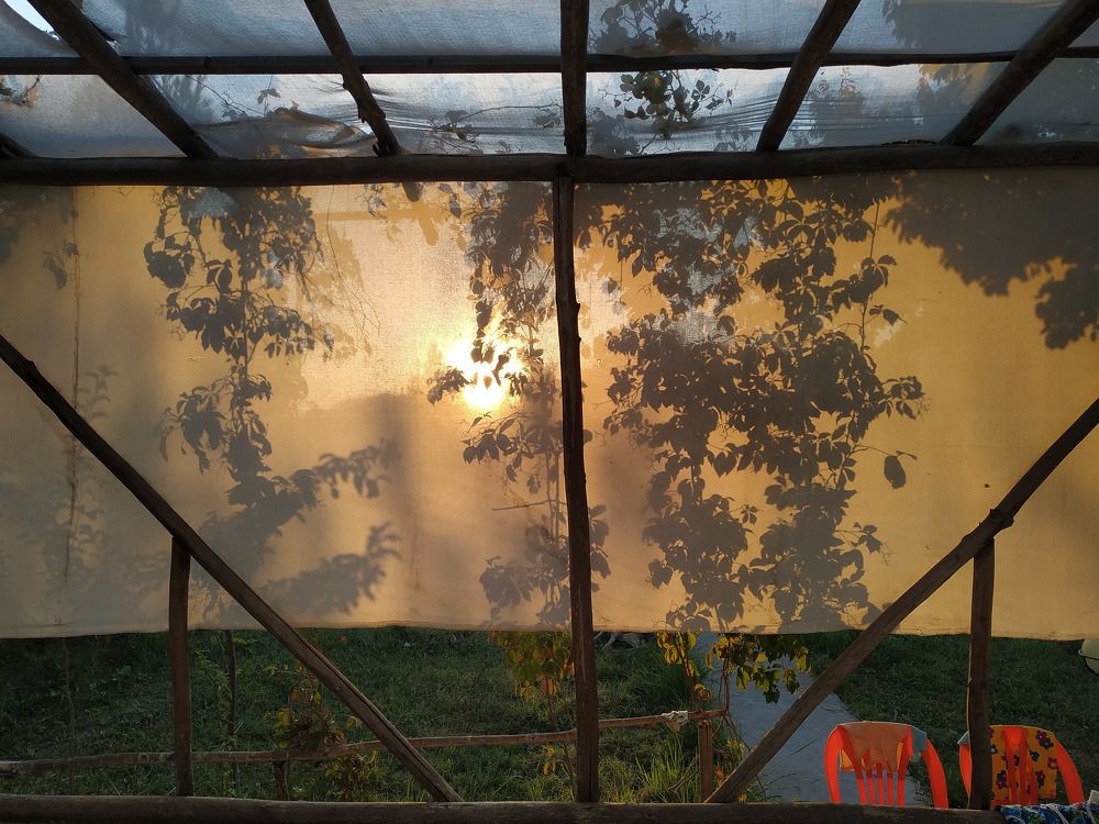 Photograph by Вероника Давыдова