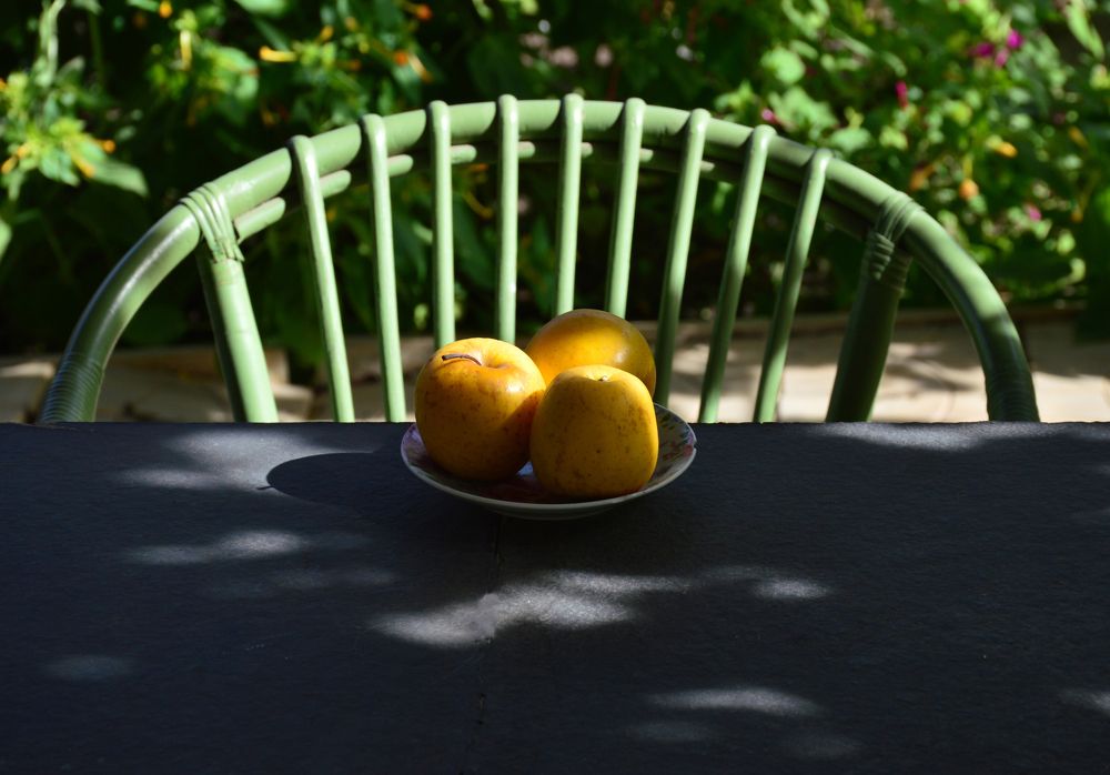 Photograph by Юрий Солодовников