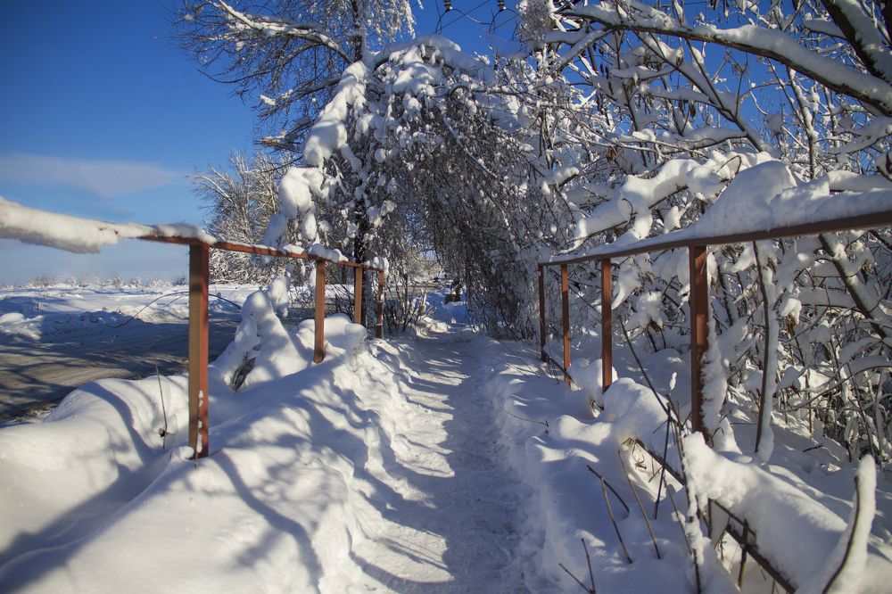 Photograph by Ольга Дорошенко