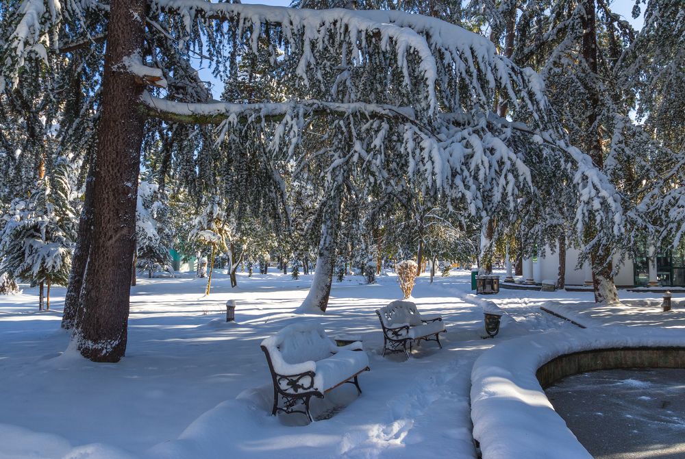 Photograph by Александр Антонов