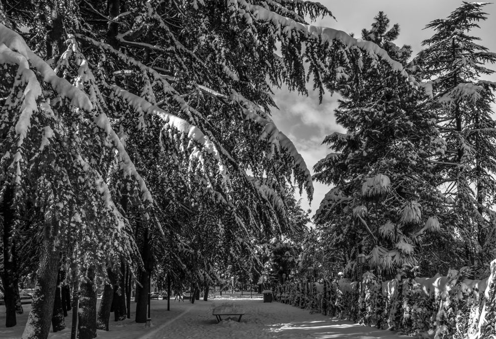 Photograph by Александр Антонов