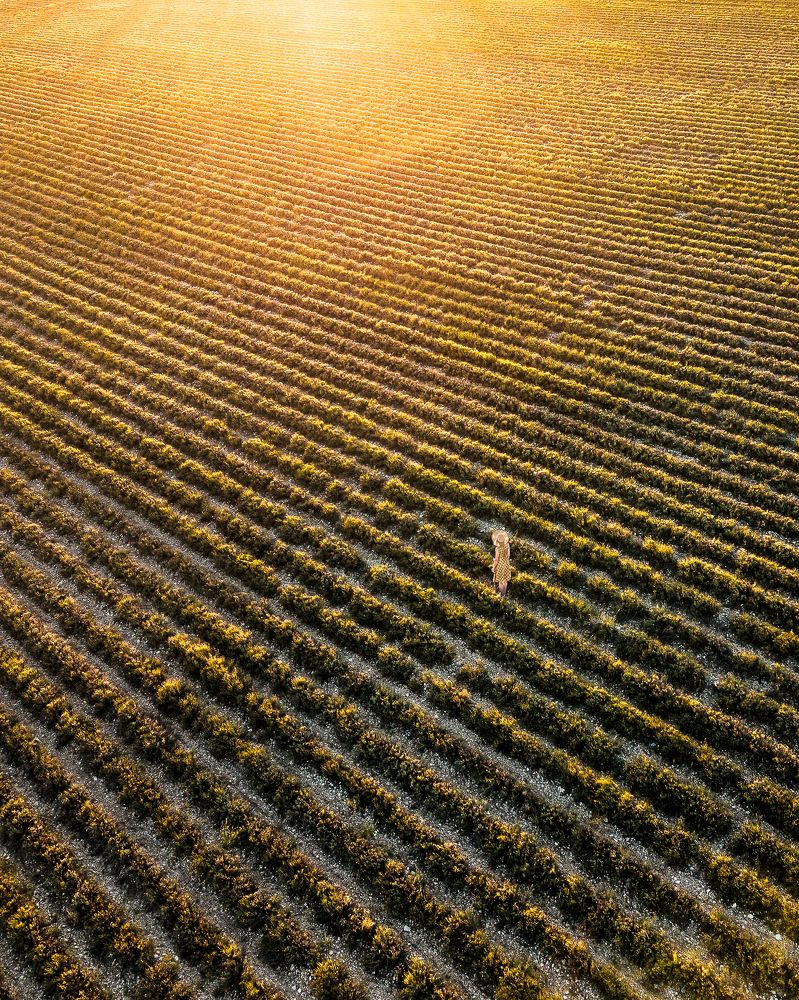 Photograph by Антон Шваин