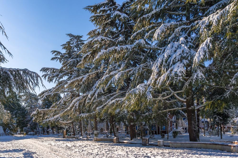 Photograph by Александр Антонов