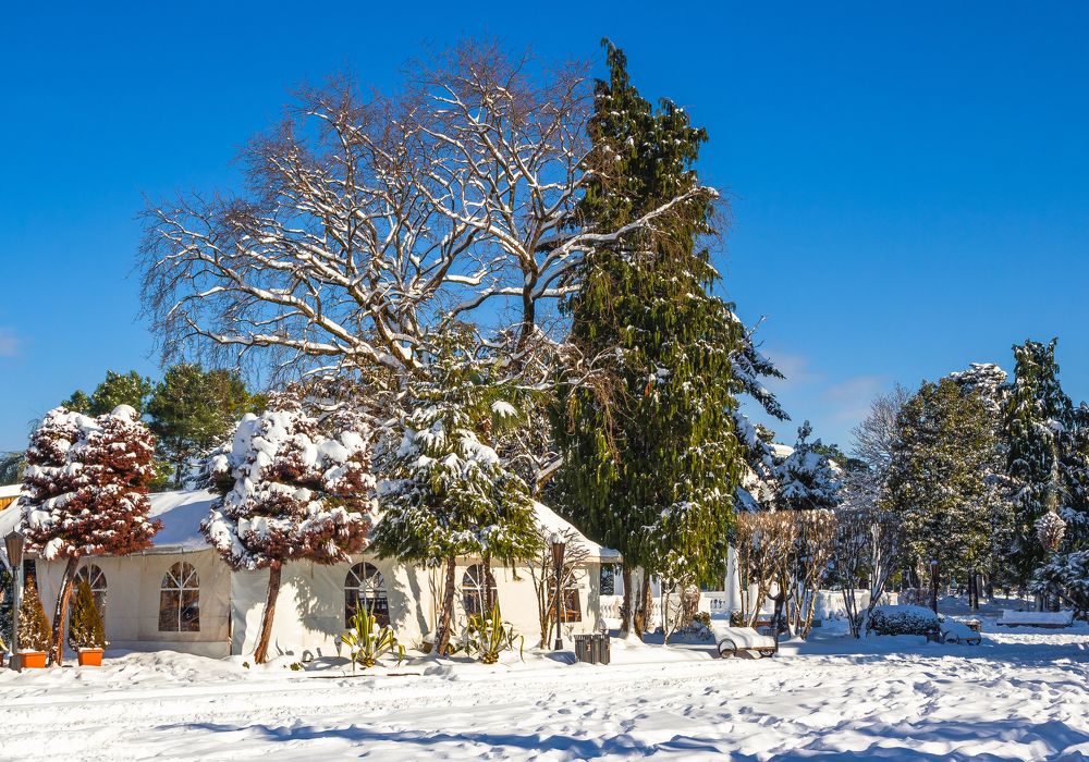 Photograph by Александр Антонов