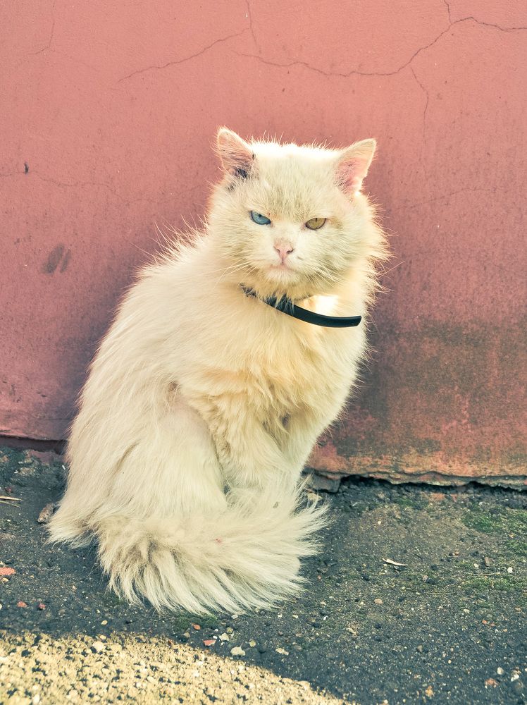 Photograph by Ольга Герасименко