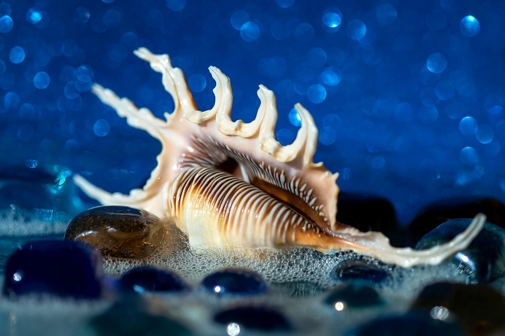 Photograph by Ольга Колобова