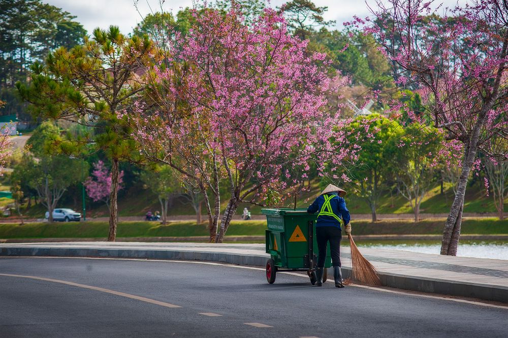 Photograph by Lê Minh