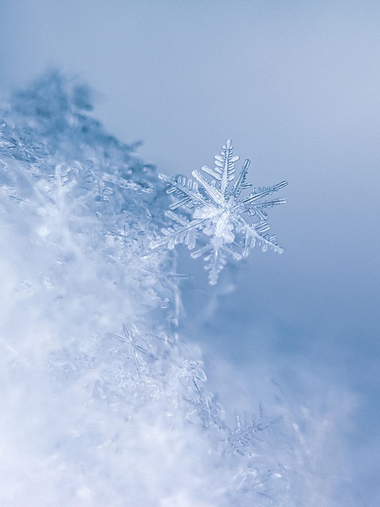 Photograph by Юлия Локтева