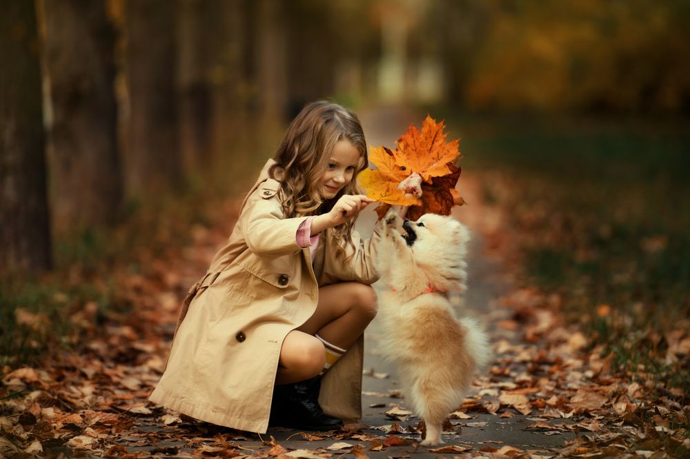 Photograph by Иван Заманухин