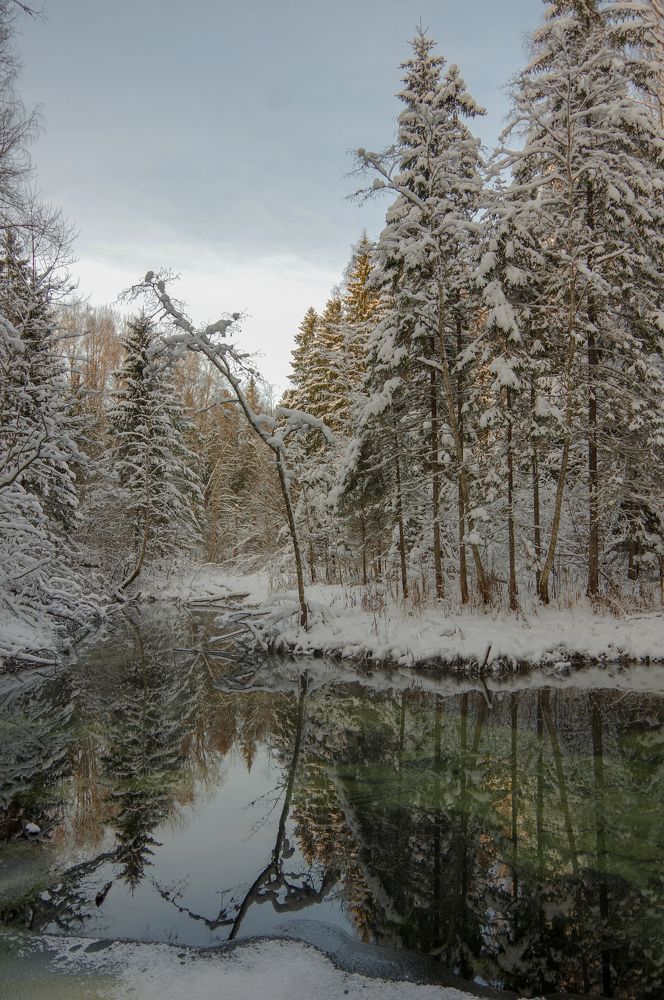 Photograph by Nadezda Sarap