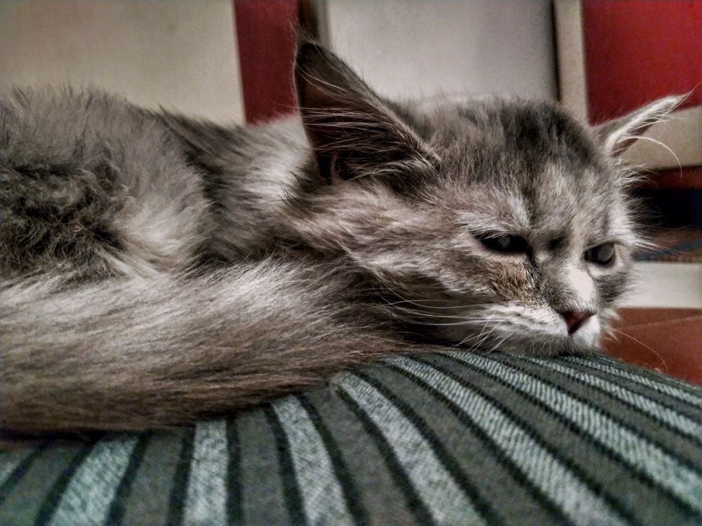 Photograph by Mitul Mistry