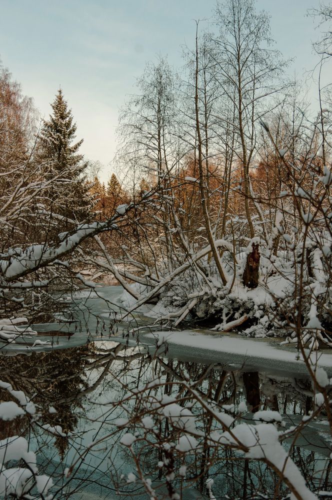 Photograph by Nadezda Sarap