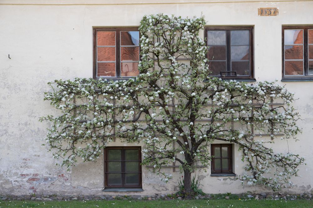 Photograph by Вадим Ламм