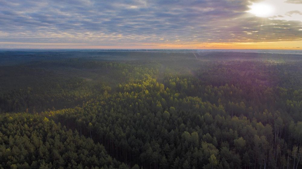 Photograph by Дмитрий Арцт
