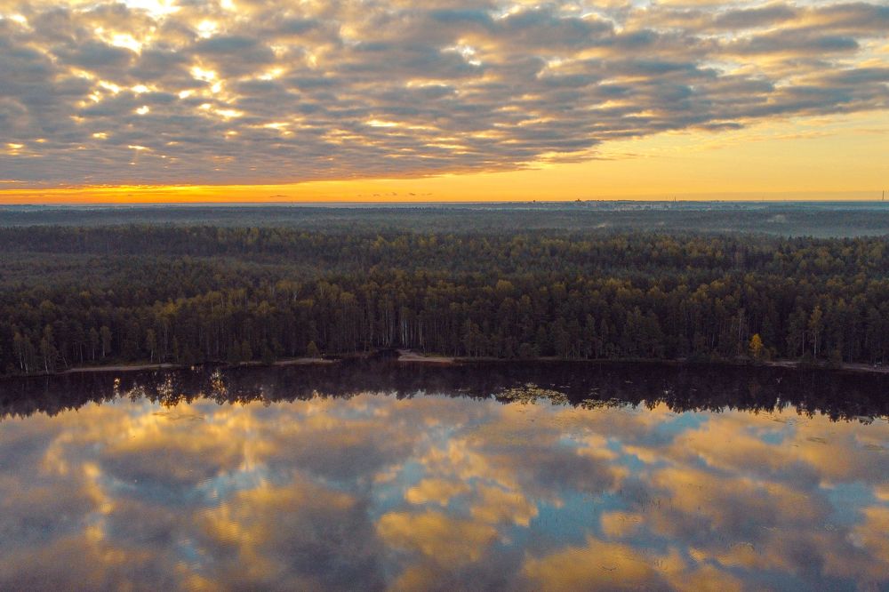 Photograph by Дмитрий Арцт