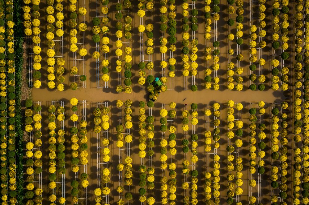 Photograph by Huynh Loc