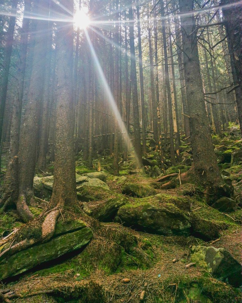 Photograph by Владимир Дихтенко