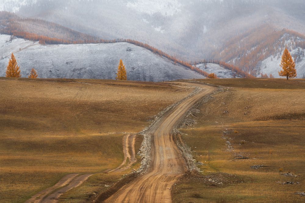 Photograph by Елена Лебедева