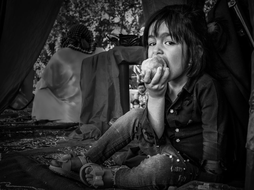 Photograph by Alireza Zaghian