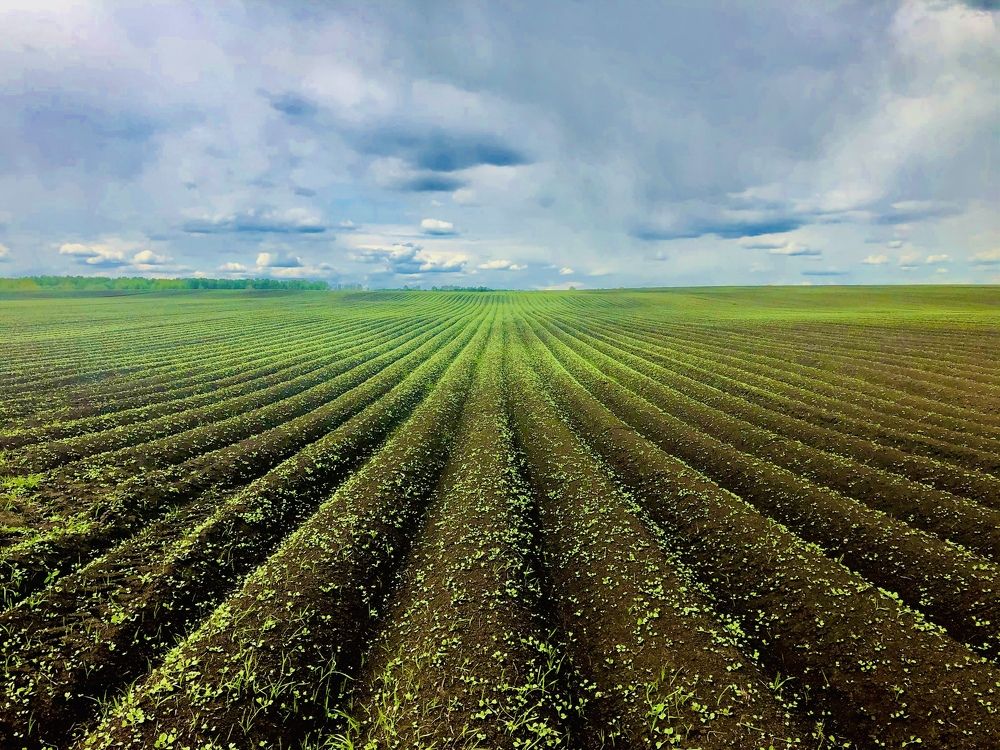 Тульская область. 2020г.