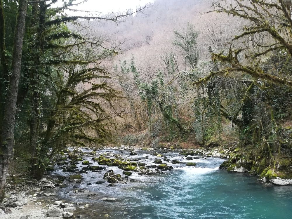 Photograph by Туркасова Елена