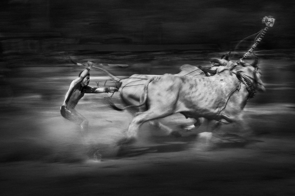 Photograph by Huynh Loc