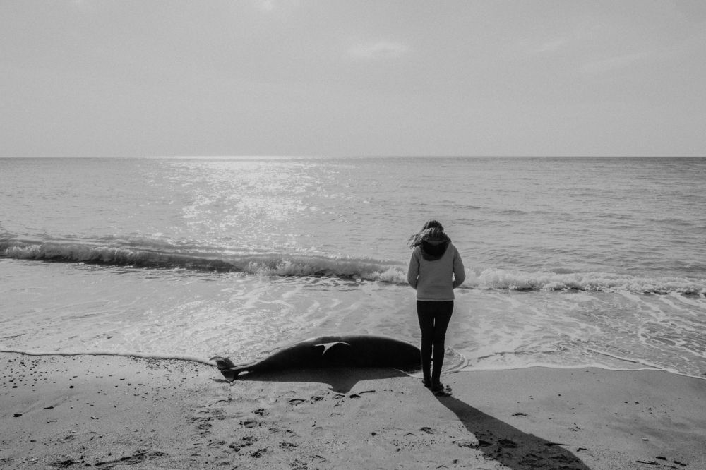 Photograph by Konstantin Tsevelev