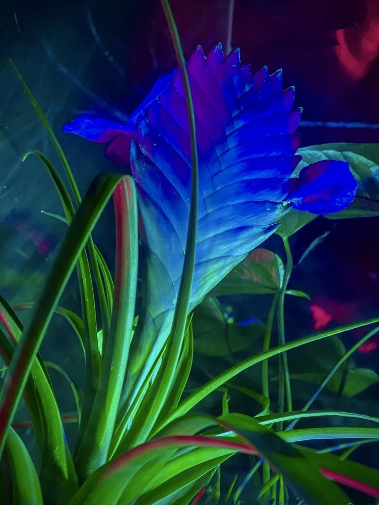 Photograph by Сергей Марченков