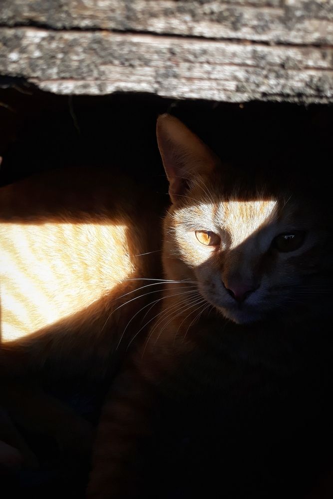 Photograph by Анатоль Кожанов