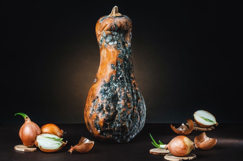 Photograph by Mikhail Sozonov