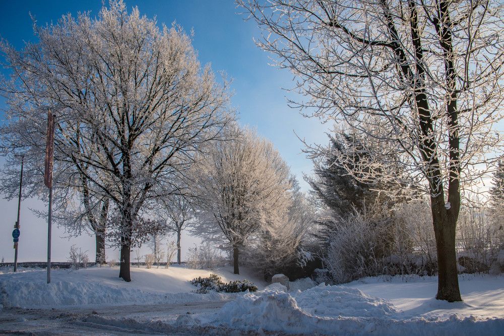 Photograph by Сергей Нагель-Синегубов