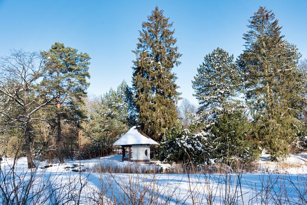 Photograph by Сергей Нагель-Синегубов