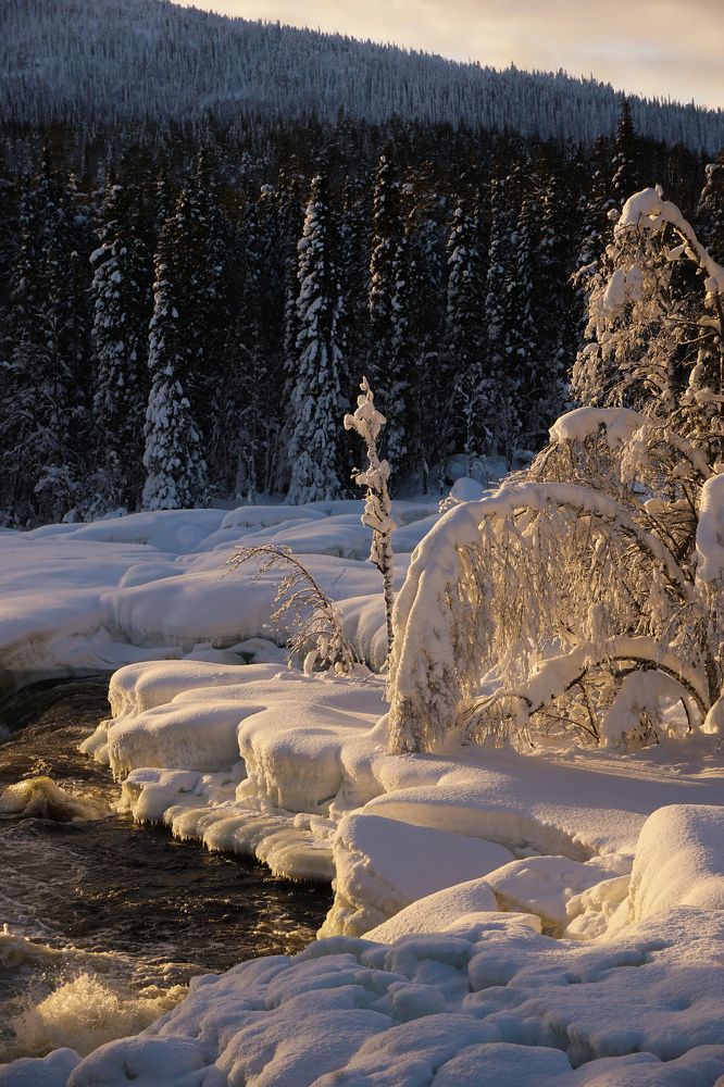 Photograph by Ольга Юрина