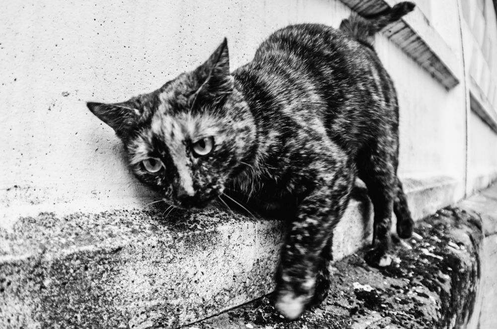 Photograph by Денис Олейников