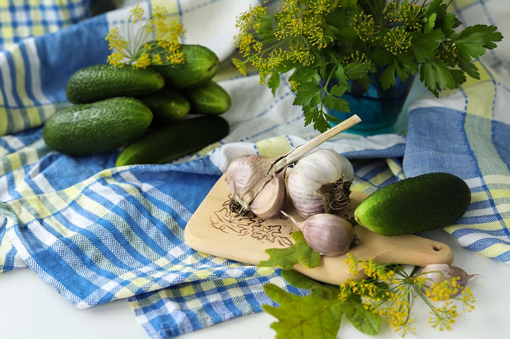 Photograph by Елена Горбунова