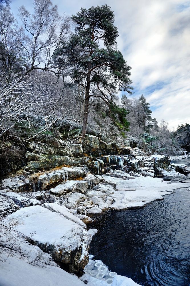 Photograph by John Cuthbert (L.R.P.S)