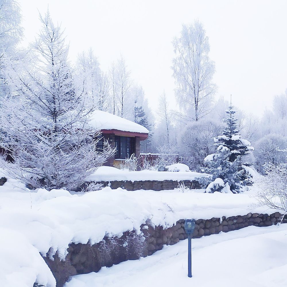 Photograph by Елена Павлова