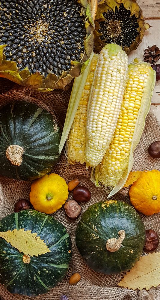 Photograph by ЕЛЕНА